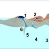 Swim Coaching Science: Swim 100 Meters in 40 Seconds - Image 7